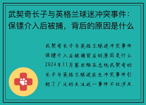 武契奇长子与英格兰球迷冲突事件：保镖介入后被捕，背后的原因是什么？